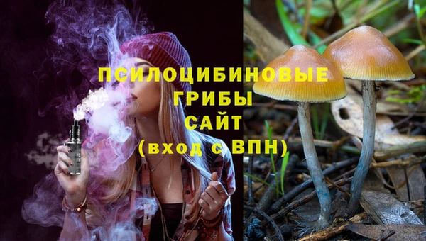 стафф Вязьма