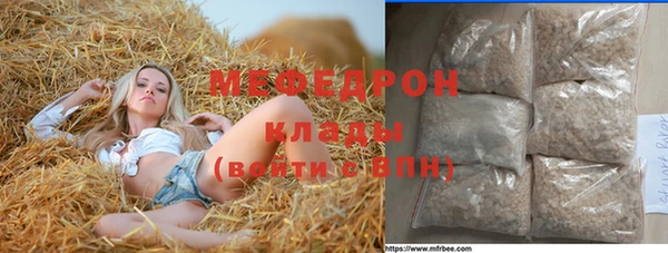 индика Володарск