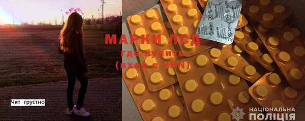 стафф Вязьма