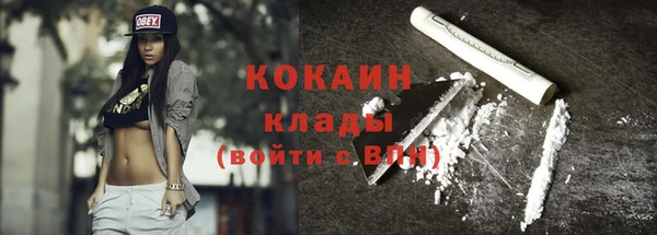 стафф Вязьма